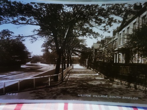 Vintage 1954 rppc westoe - vintage,