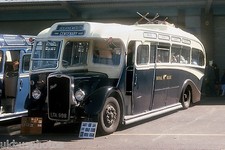 Western National - Royal Blue