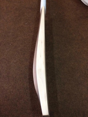 English willow cricket bat - english,