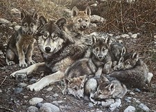 Carl Brenders - Den Mother -