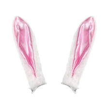 White Easter Bunny Rabbit