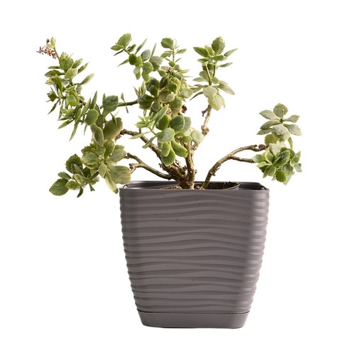 Plant pot flowerpot square - pot,