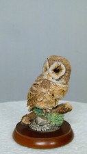 Border fine arts Tawny owl