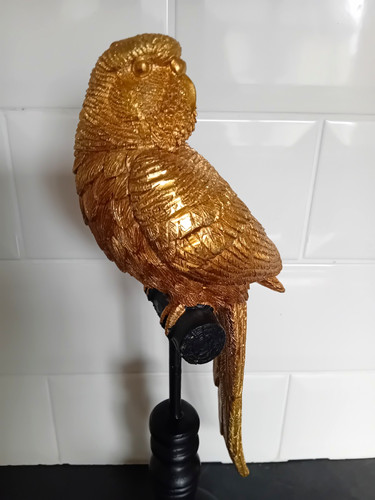 Jeff banks gold parrot - gold, resin