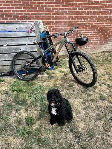 Whyte g180 medium mullet - whyte, .