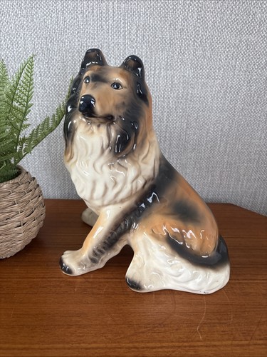Vintage rough collie dog - collie,