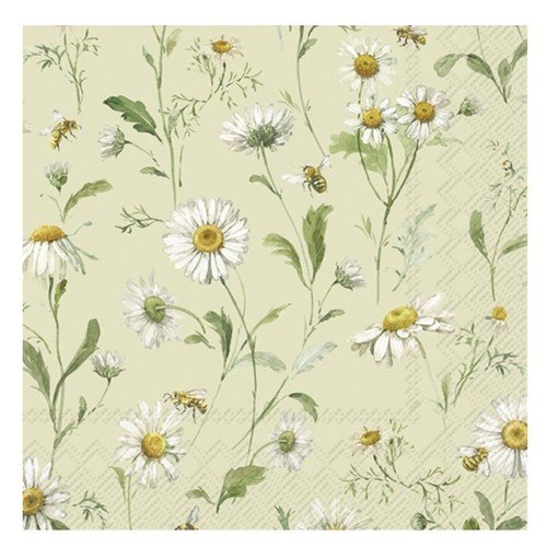 Daisies light green paper - daisies,