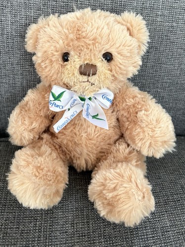Center parcs teddy bear soft - parcs,