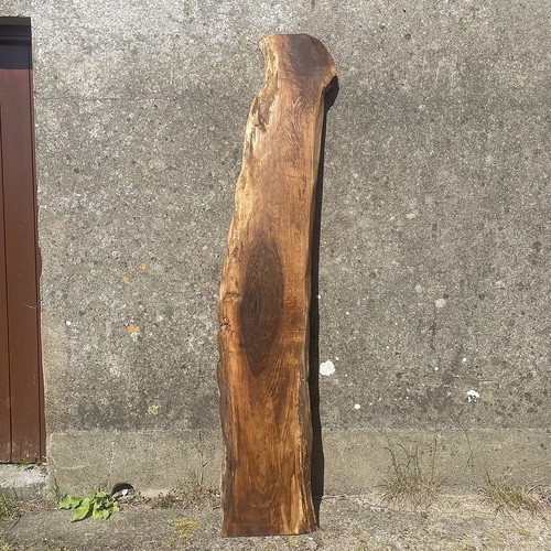 English walnut slab live - english,