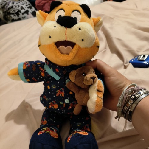 Rory the tiger seaside - seaside, crew