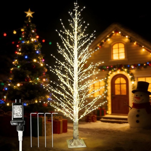 6ft white birch tree with - birch,