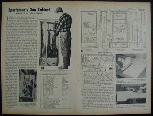 Gun cabinet locking - gun,