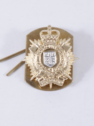 Royal logistic corps - logistic, (rlc)