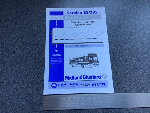 First midland bluebird - midland,