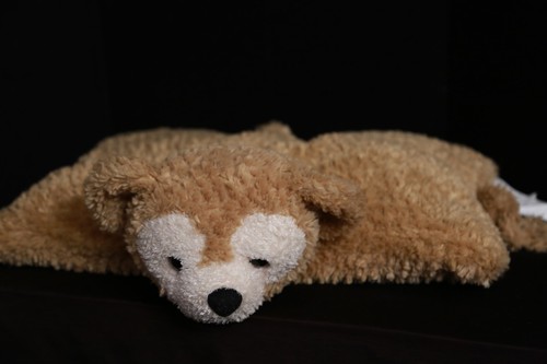 Disney parks duffy - parks,
