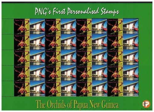 Papua orchids architecture - papua,