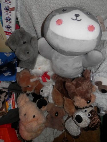 Soft toys plush animals cats - soft,