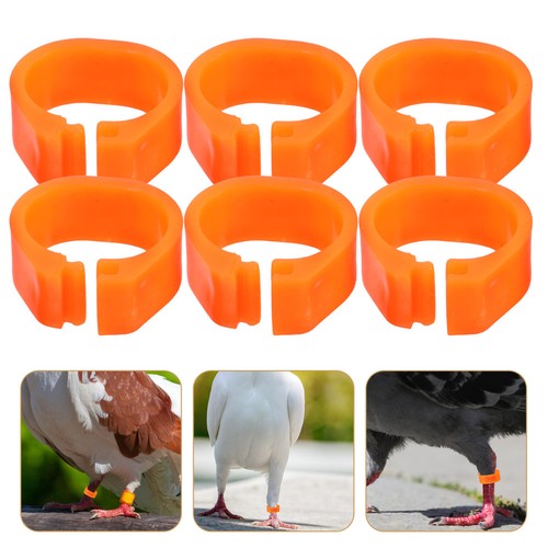 100 pcs foot ring - 100, birds