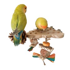 Wooden Parrot Bird Perch Stand