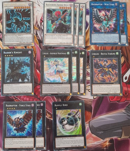 Yugioh blackwing raidraptor - yugioh,