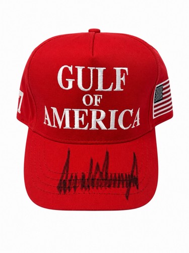 President donald trump - president,