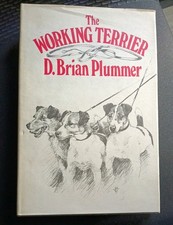The working terrier david - the,