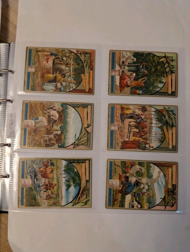 Liebig set f565 trade cards - liebig,