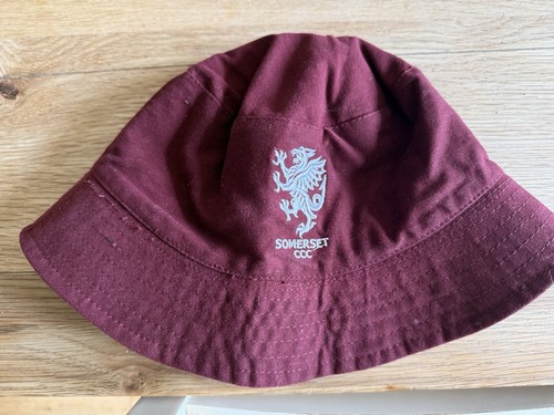 Somerset county cricket club - county,