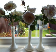 QVC Peony Set of 3 White Rose
