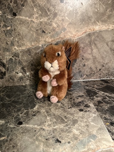 Living nature squirrel an49 - living,