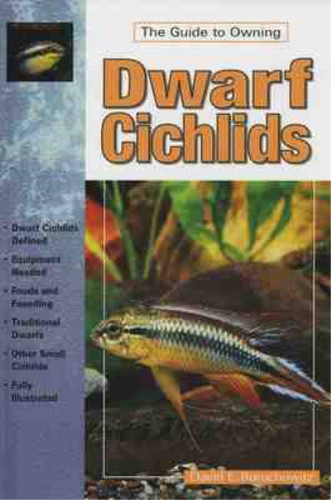 Dwarf cichlids keeping and - cichlids:,