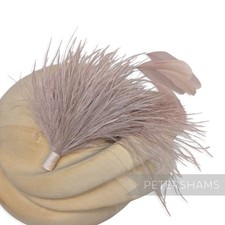 Ostrich & Stripped Coque