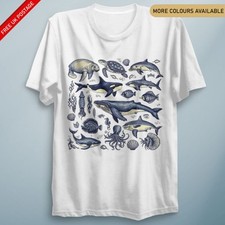 Marine Creatures Sea Life