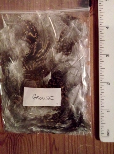 Packet grouse hackles - x,