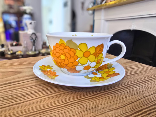 Vintage seltmann weiden cup - xl,