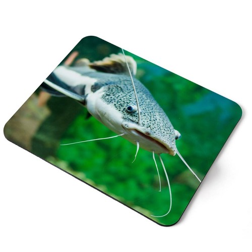 Mouse mat pad - pad, tailed