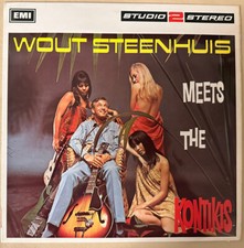 WOUT STEENHUIS MEETS THE