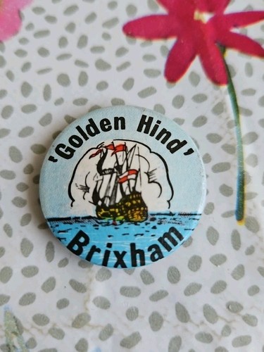 Vintage tin pin badge - tin,