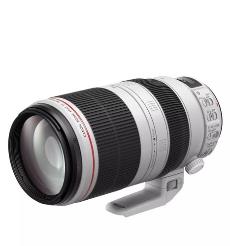 Canon 100 400mm 5 - ef, 100-400mm