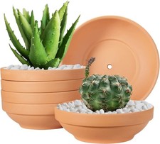 Laergin 6.43 Inch Shallow Terra Cotta Clay Pots with Drain Hole - Ceramic Plant