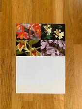 UN GENEVA 2010 PHQ MAXIMUM