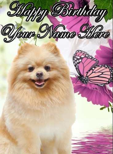Pomeranian dog a5 - dog,