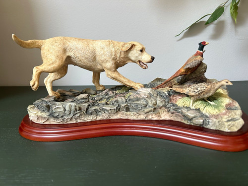 Border fine arts - arts., labrador