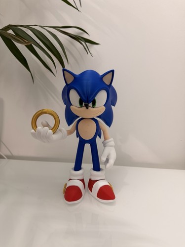 Sonic the hedgehog print - the,