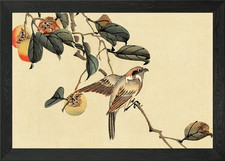 Little Bird Framed Wall Art