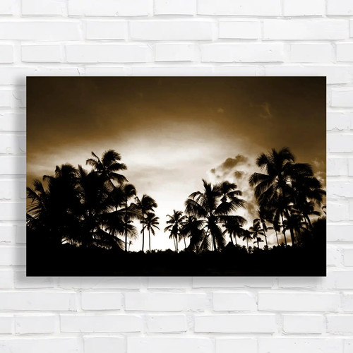Stunning tropical sunset sepia - stunning,