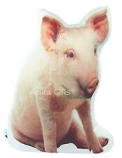 Shaped Pig Cushion, Handmade
