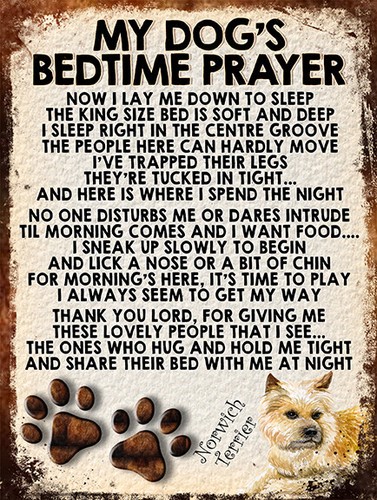 Dog bedtime prayer retro - bedtime,