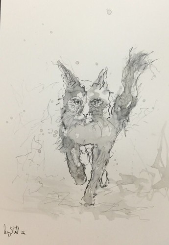 Original cat ink sketch - original, (2024)
