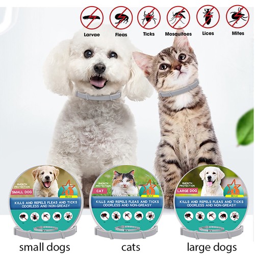Month protection pet flea - 8,